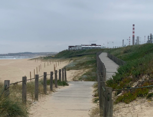 Wohin richtest du deinen Blick?